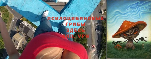 амф Алзамай